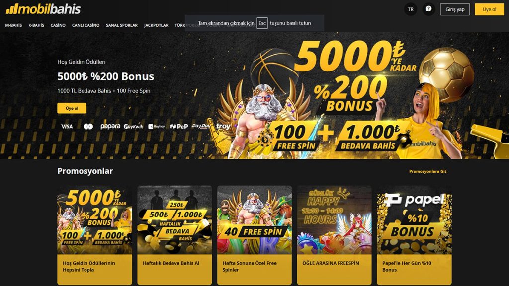 mobilbahis